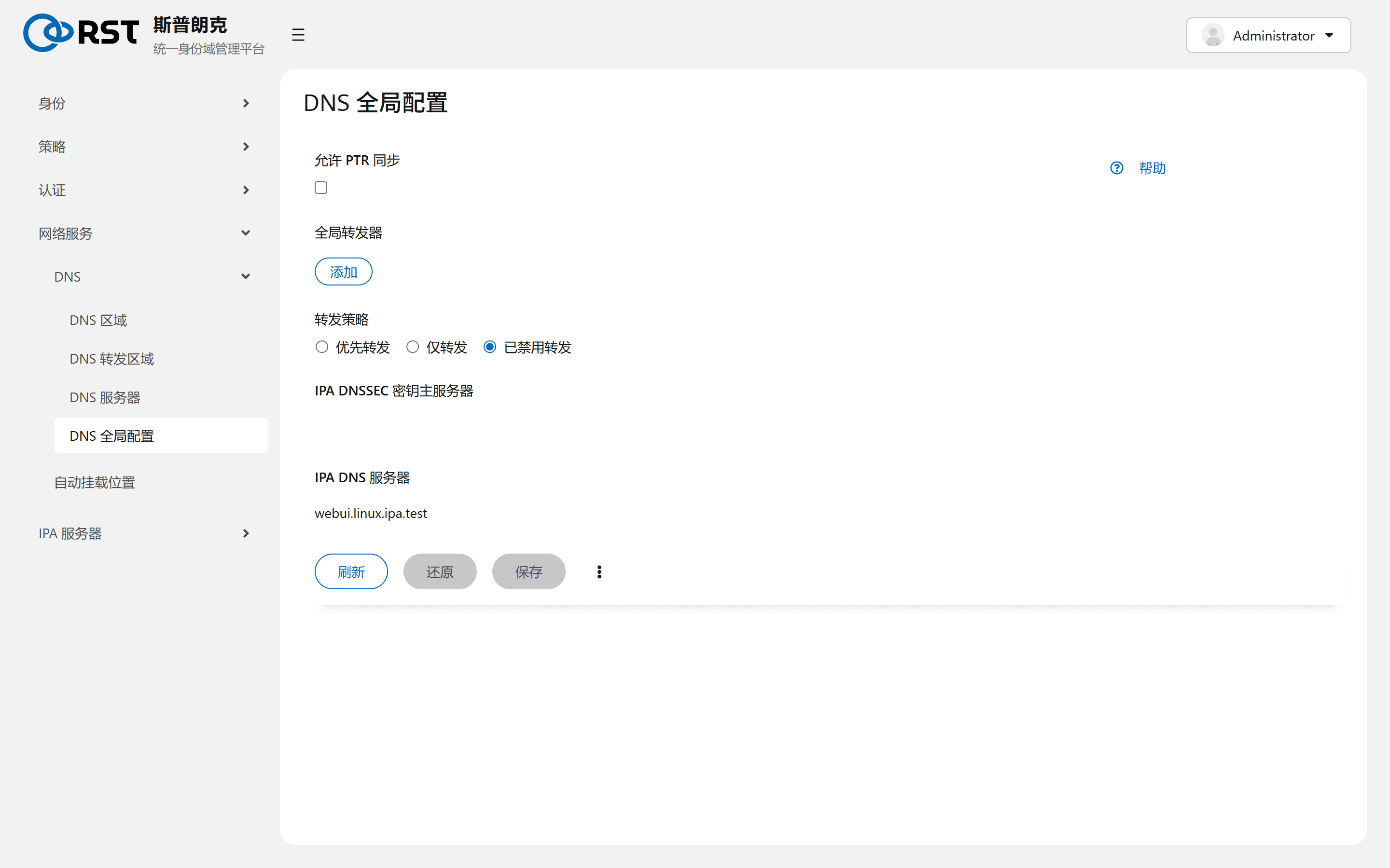 DNS 全局配置